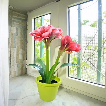 Rifugio Del Marchese * ארקולאנו